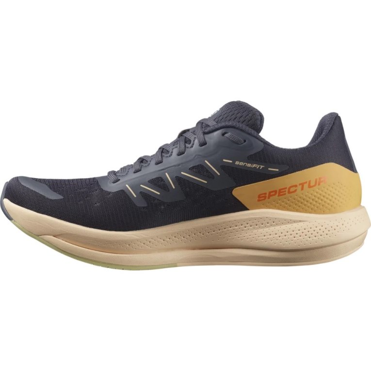 Salomon Spectur Women's Running Shoes Navy | CA 14Q7
